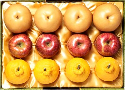 사과배한라봉 혼합세트