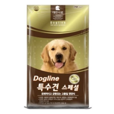 특수견스페셜
