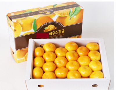 감귤 귤
